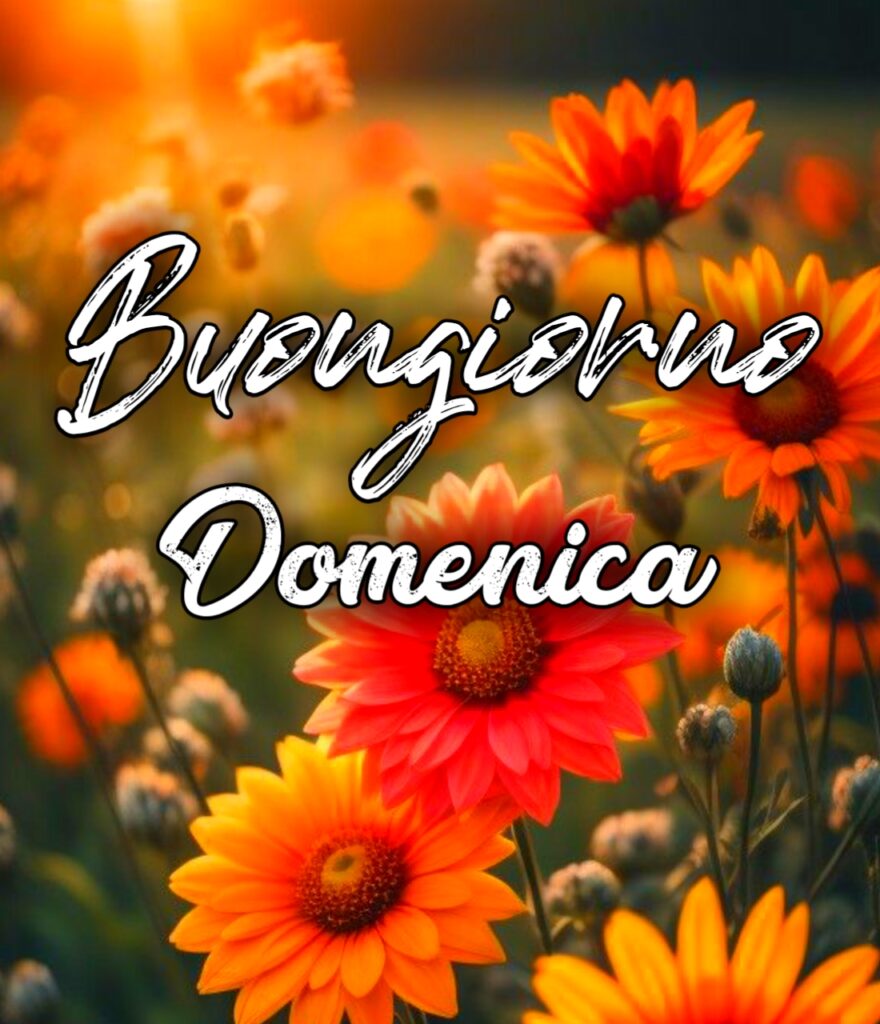 Buona Domenica Buongiorno