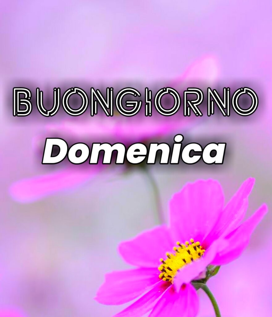 Buona Domenica Gif Nuove 2024