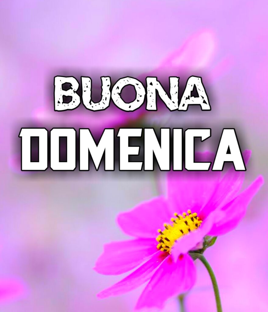 Buona Domenica Immagini Nuove 2024