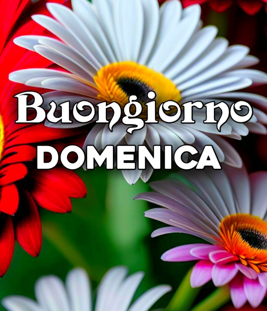 Buona Domenica Immagini Nuove 2024