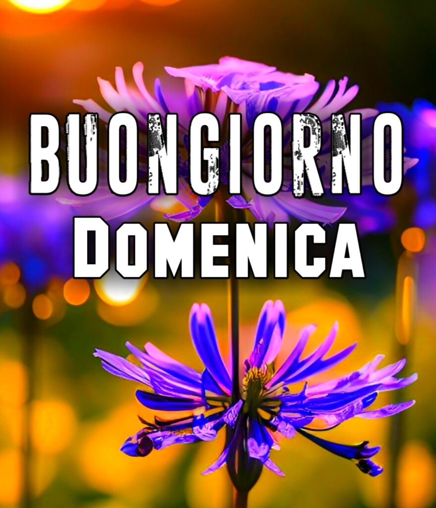 Buona Domenica Immagini Nuove