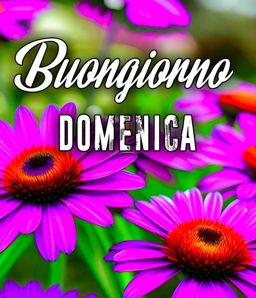 Buona Domenica Immagini Nuove Gratis