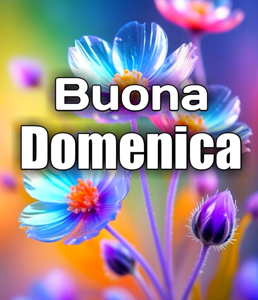 Buona Domenica Invernale