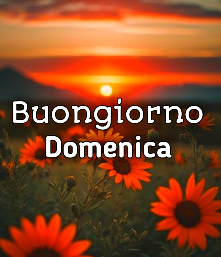 Buona Domenica Invernale