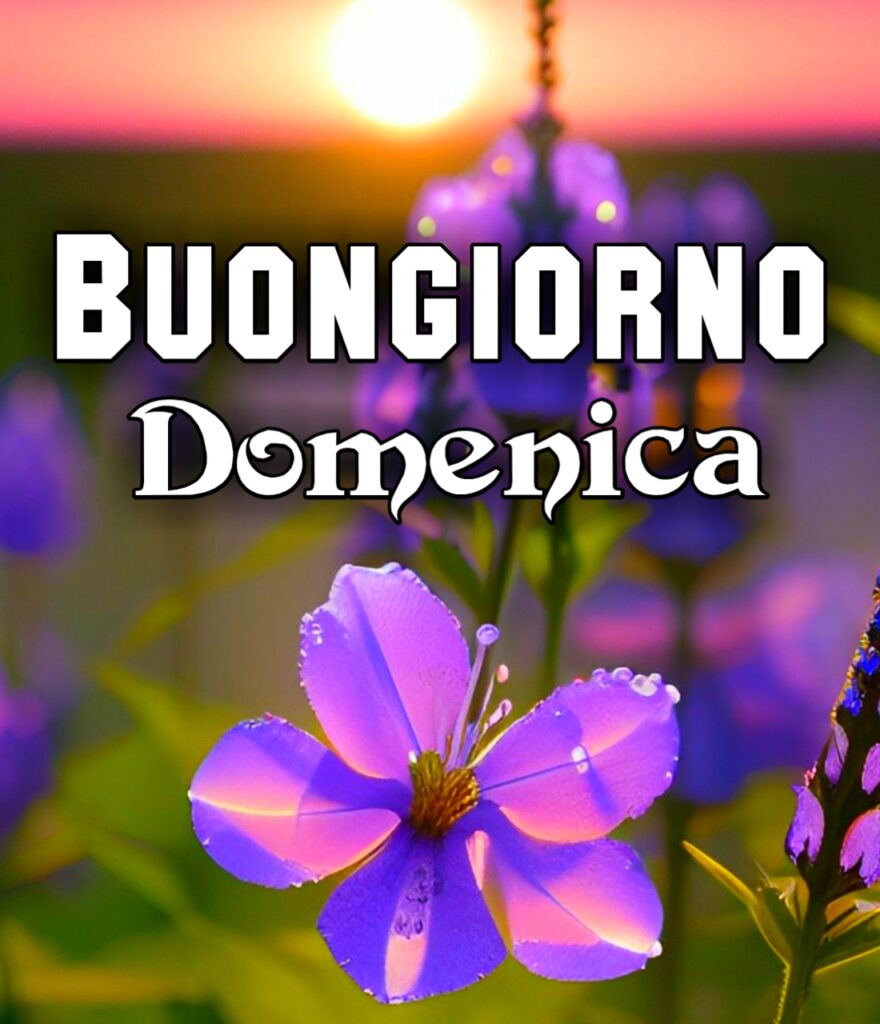 Buona Domenica Invernale Immagini Nuove Gratis