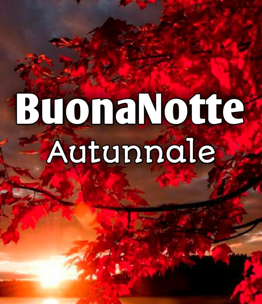 Buona Notte Autunnale