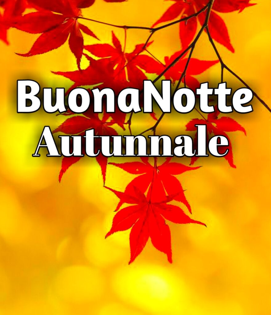 Buona Notte Autunnale Gif