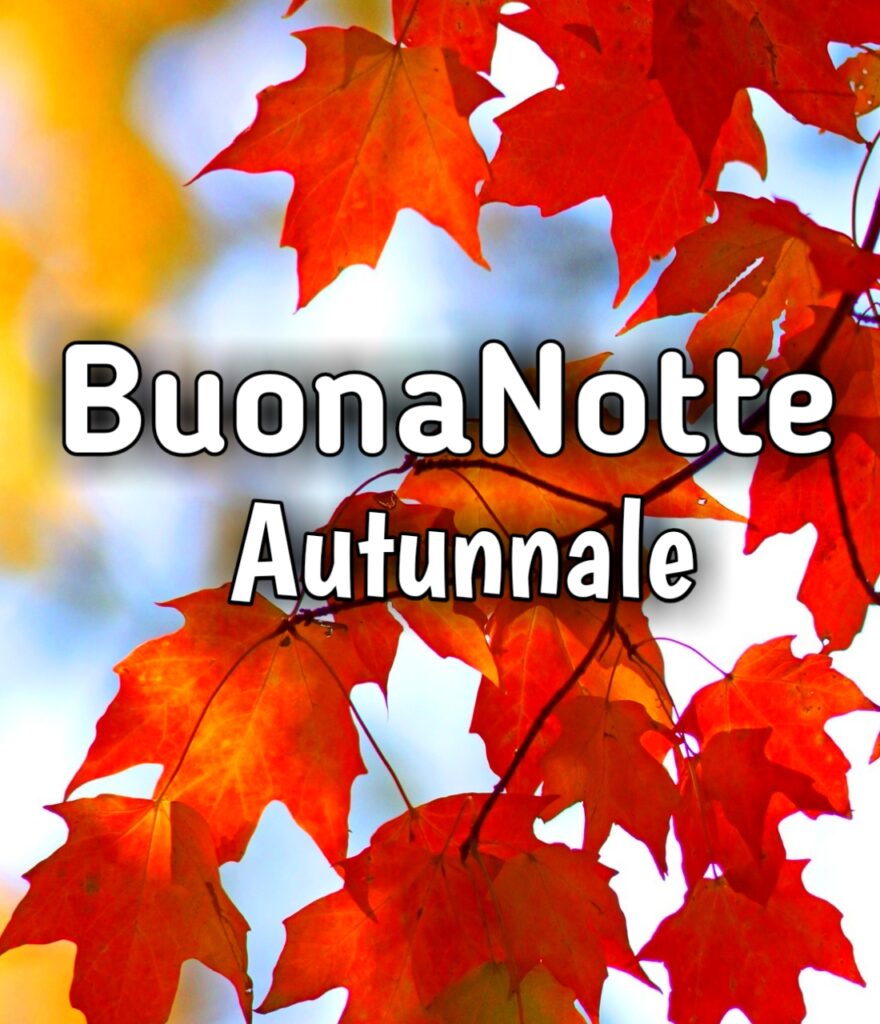 Buona Notte Immagini Gratis