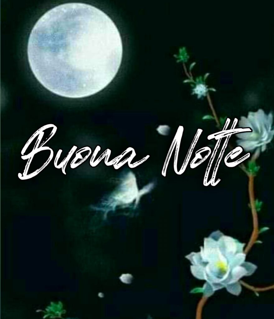 Buona Serata E Buona Notte Immagini Nuove