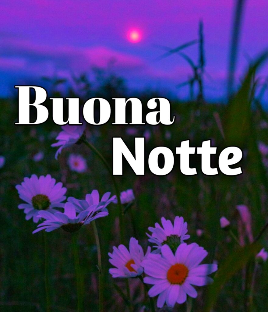 Buona Serata E Buona Notte Immagini Nuove