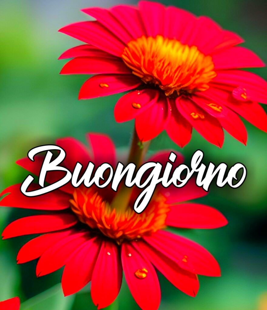 Buonadomenica Augurando.it