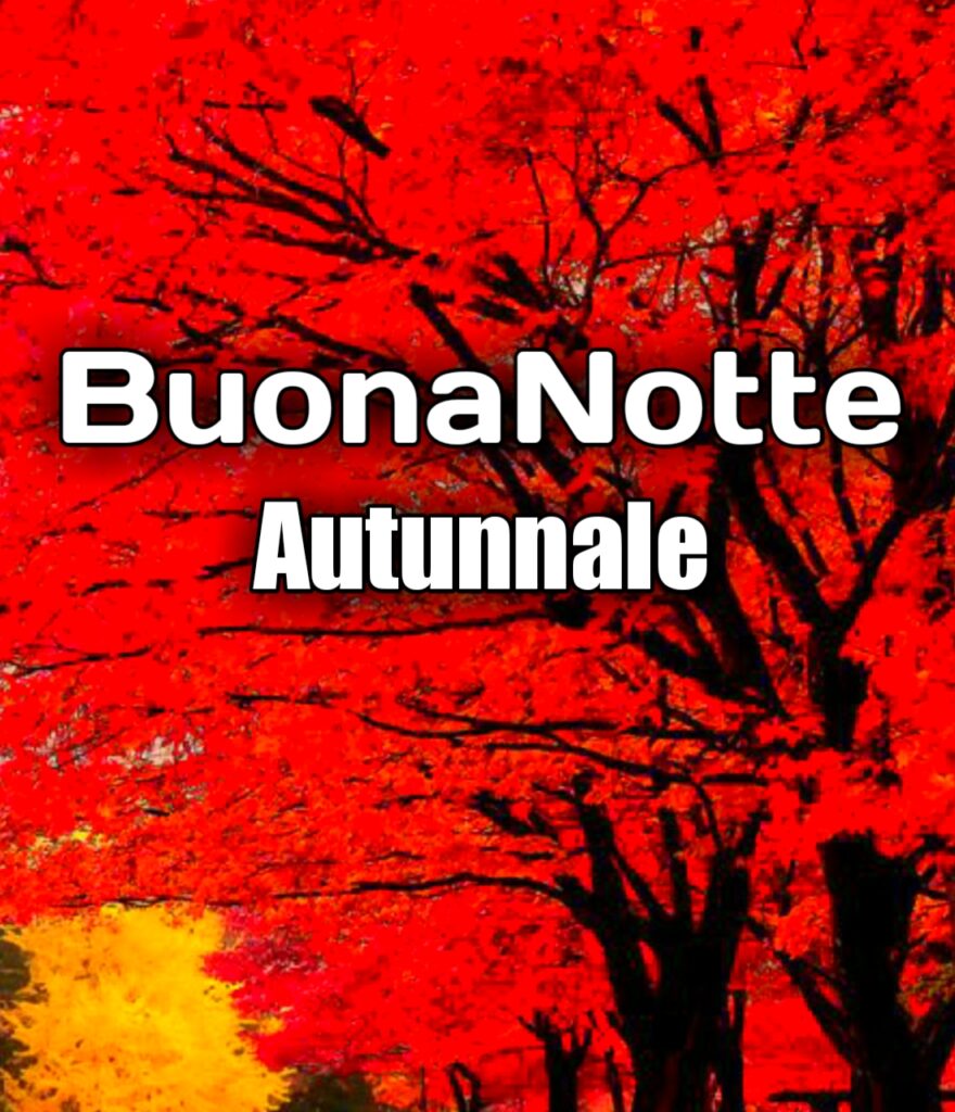 Buonanotte A Domani Autunnale