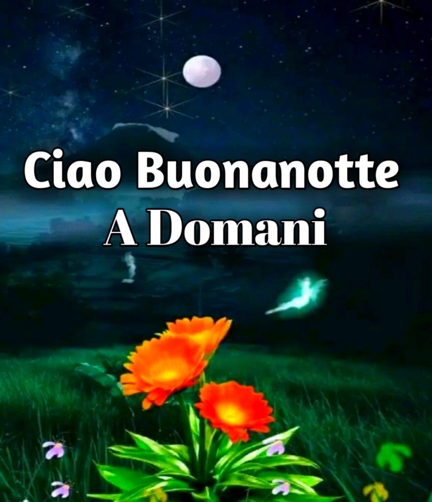 Buonanotte A Domani Gratis