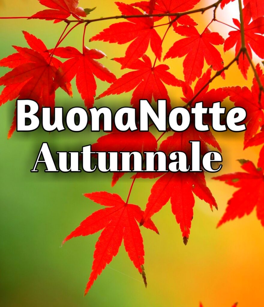 Buonanotte Autunnale Vintage