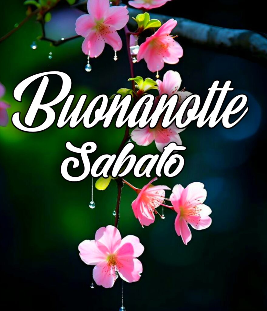 Buonanotte Buon Sabato Sera