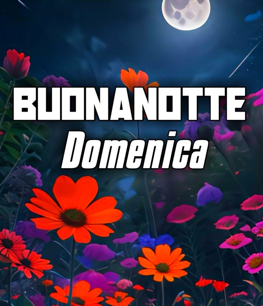 Buonanotte Buona Domenica