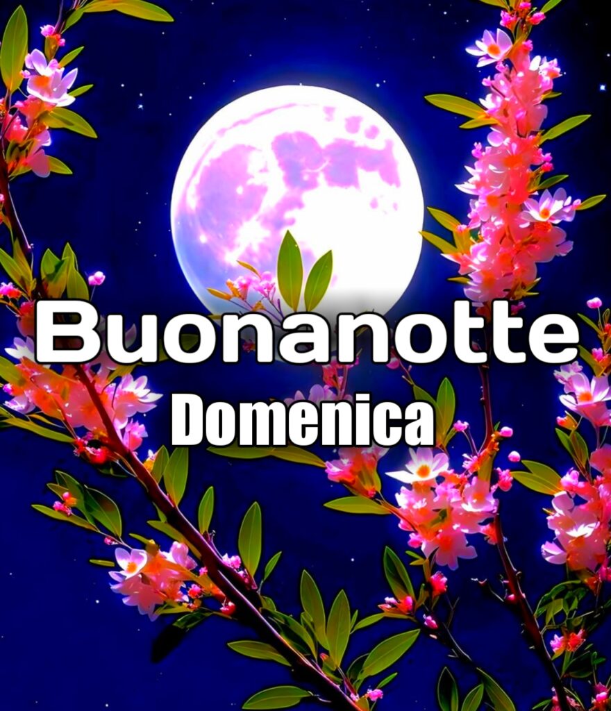 Buonanotte Buona Domenica Notte