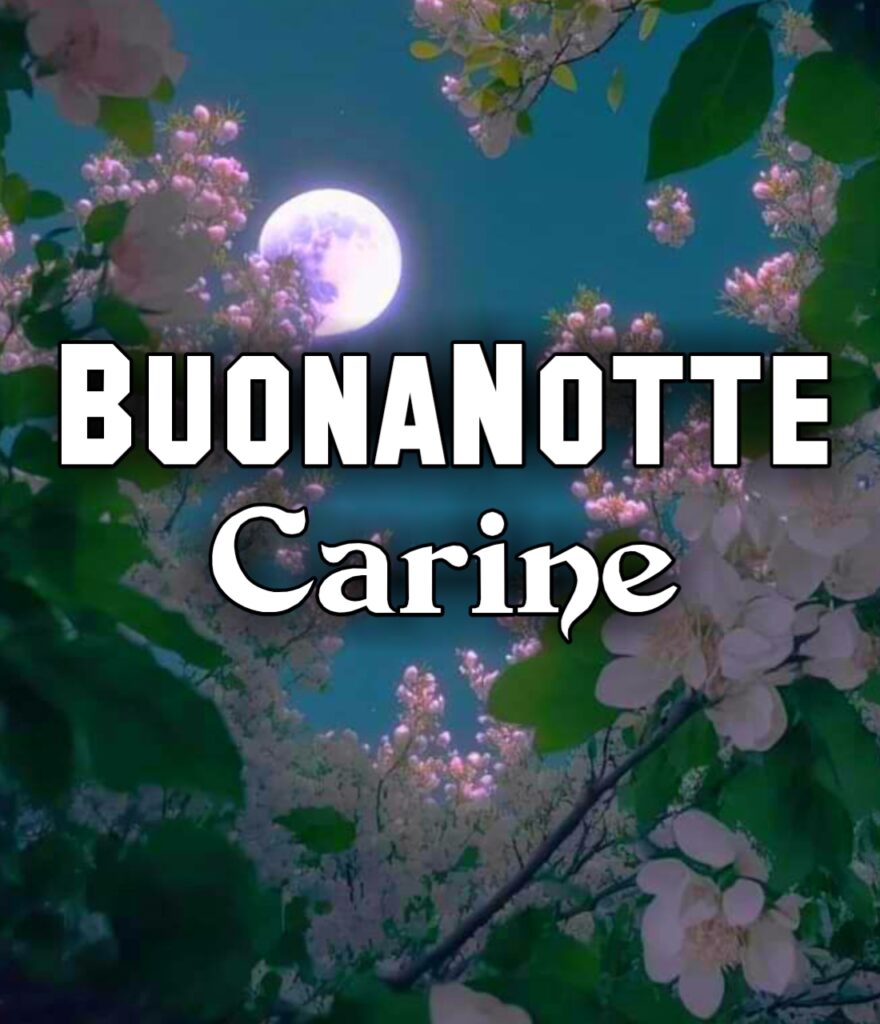 Buonanotte Carina E Simpatica