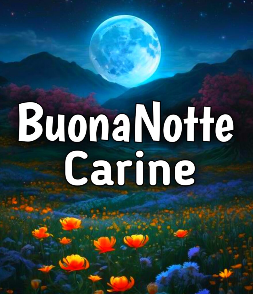 Buonanotte Carino