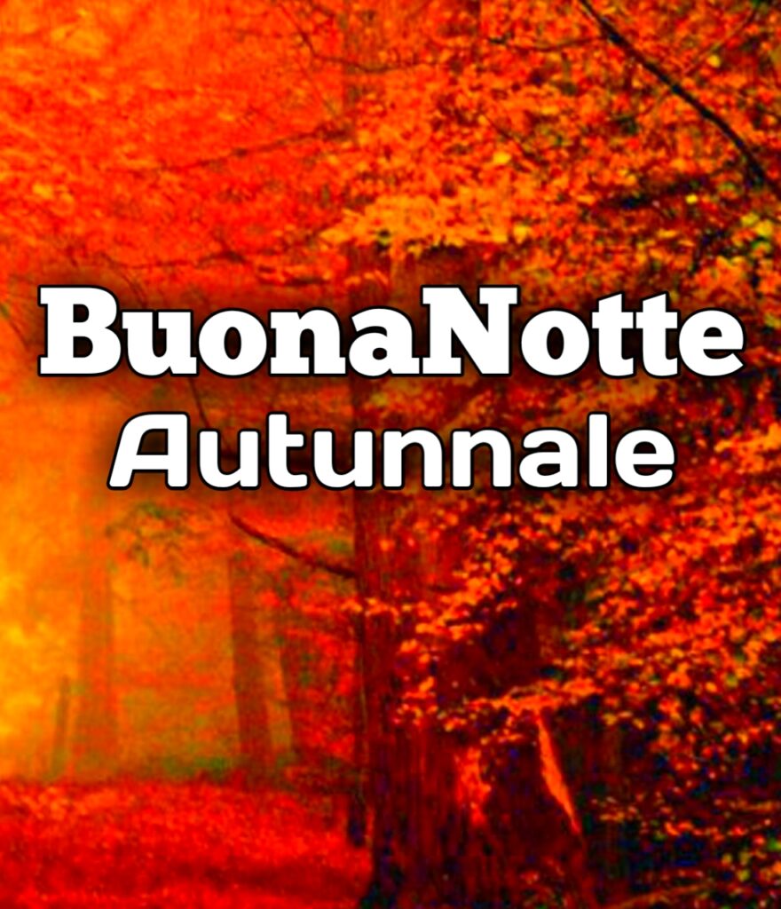 Buonanotte Con Fiori Autunnali