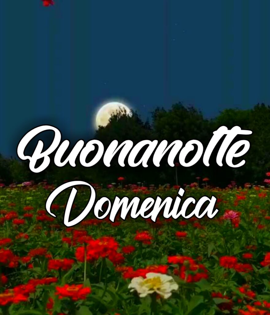 Buonanotte Di Domenica