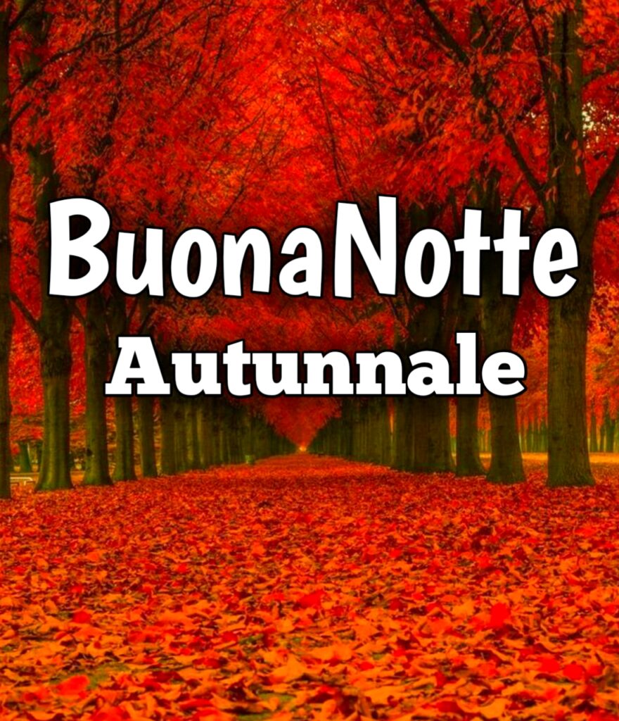 Buonanotte Divertente Immagini Nuove Gratis