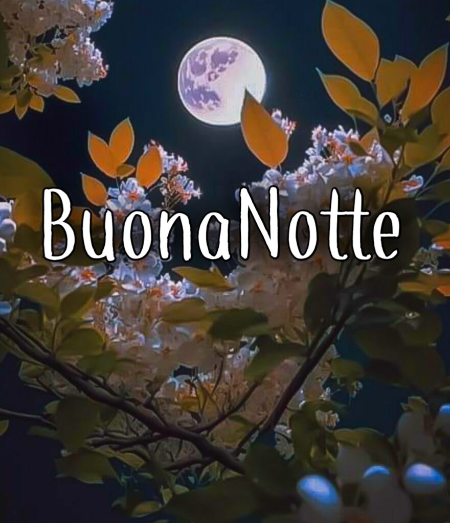 Buonanotte Divertentissime Per Whatsapp