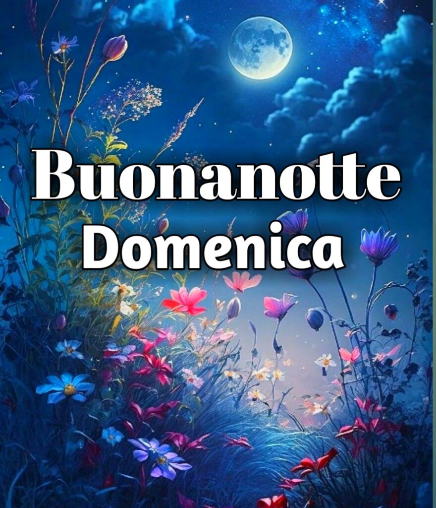 Buonanotte Domenica