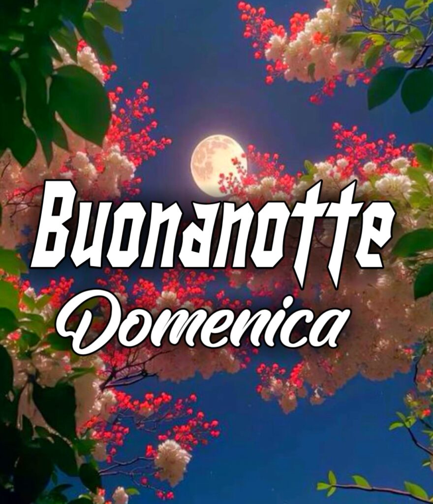 Buonanotte Domenica Terminata