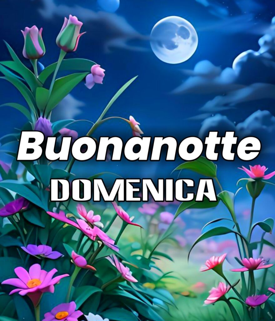 Buonanotte Domenica Whatsapp