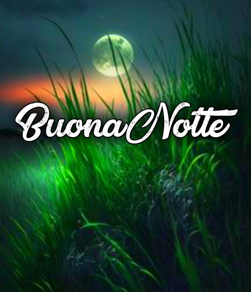 Buonanotte Gratis Per Whatsapp