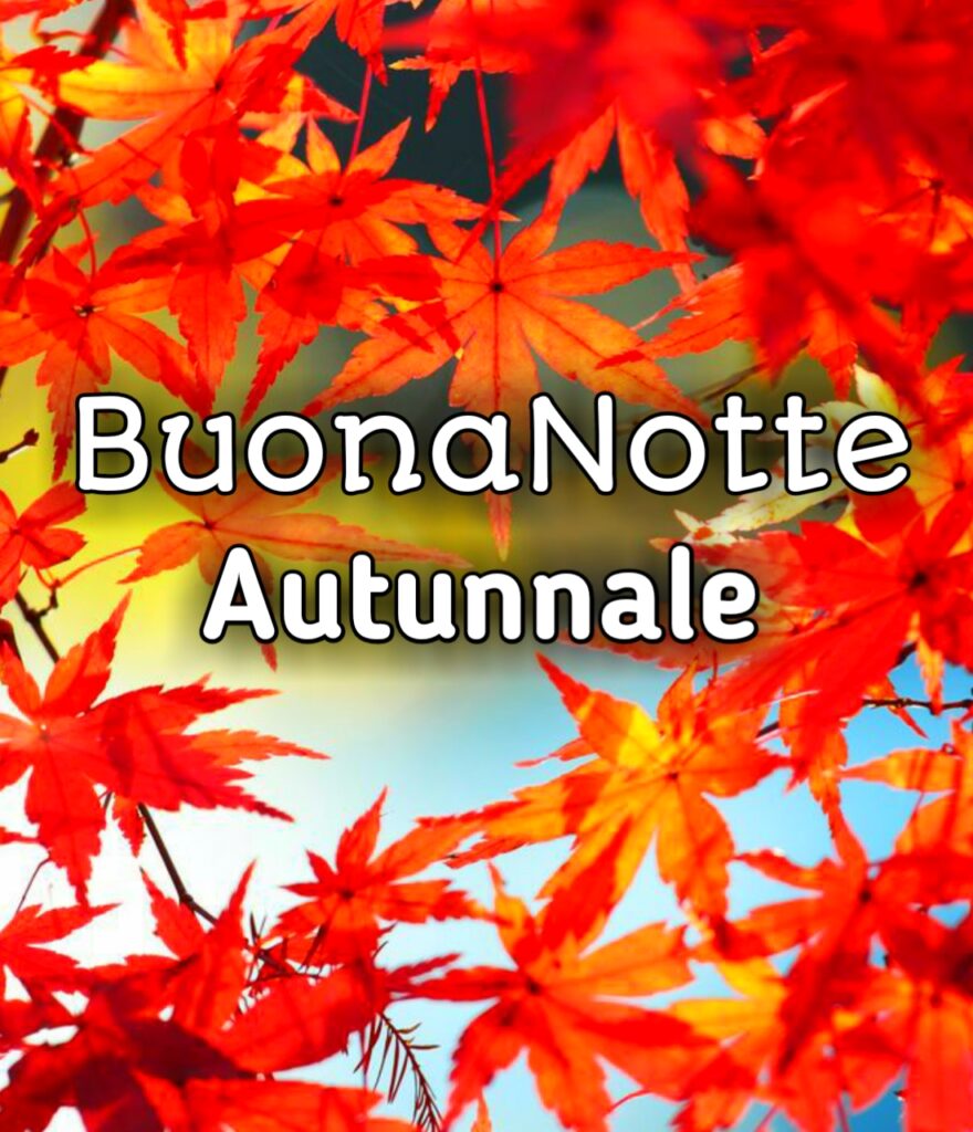 Buonanotte Immagini Gratis