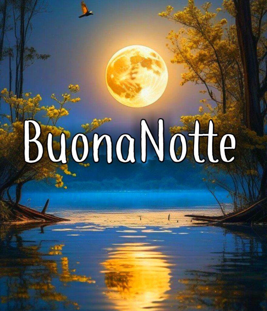 Buonanotte La Pietra Bianca