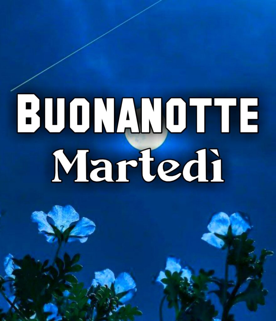 Buonanotte Martedì Invernale