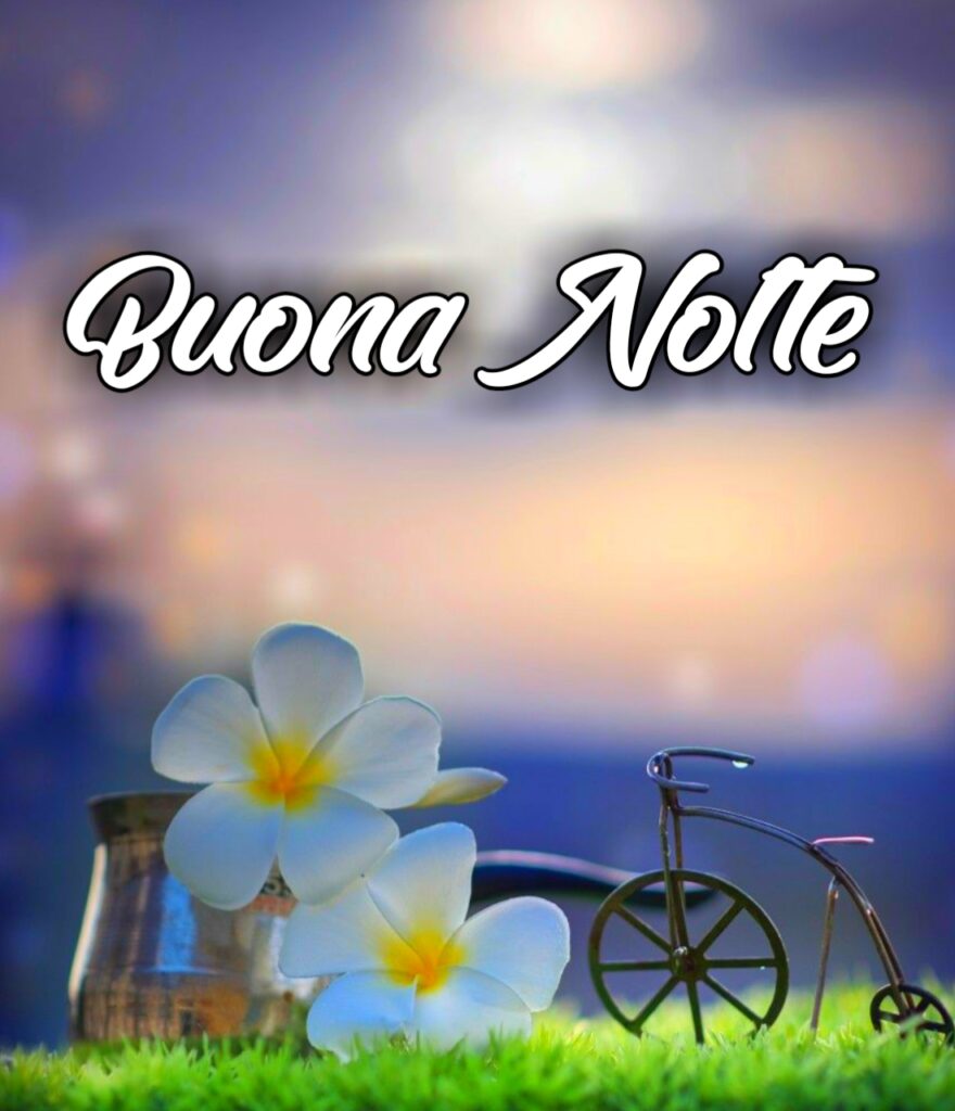 Buonanotte Nuovissime