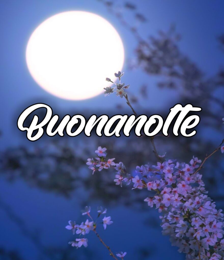 Buonanotte Originalissima Gif Whatsapp