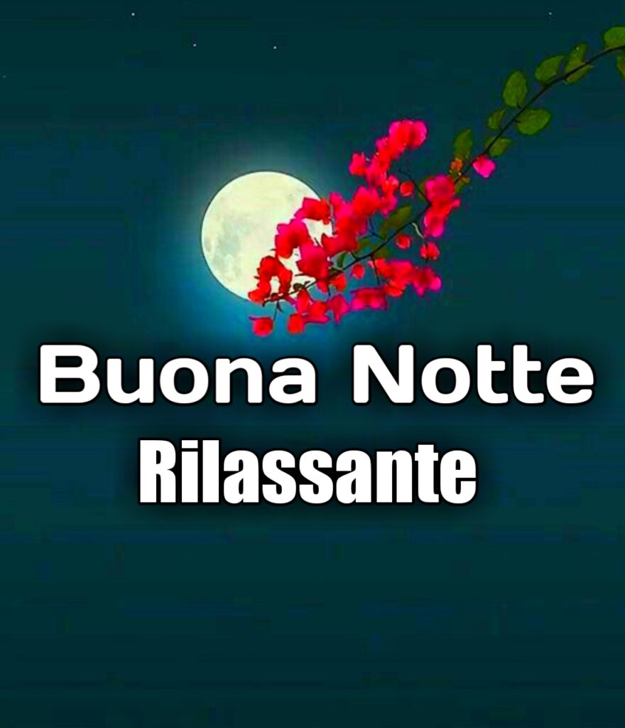 Buonanotte Zen Immagini