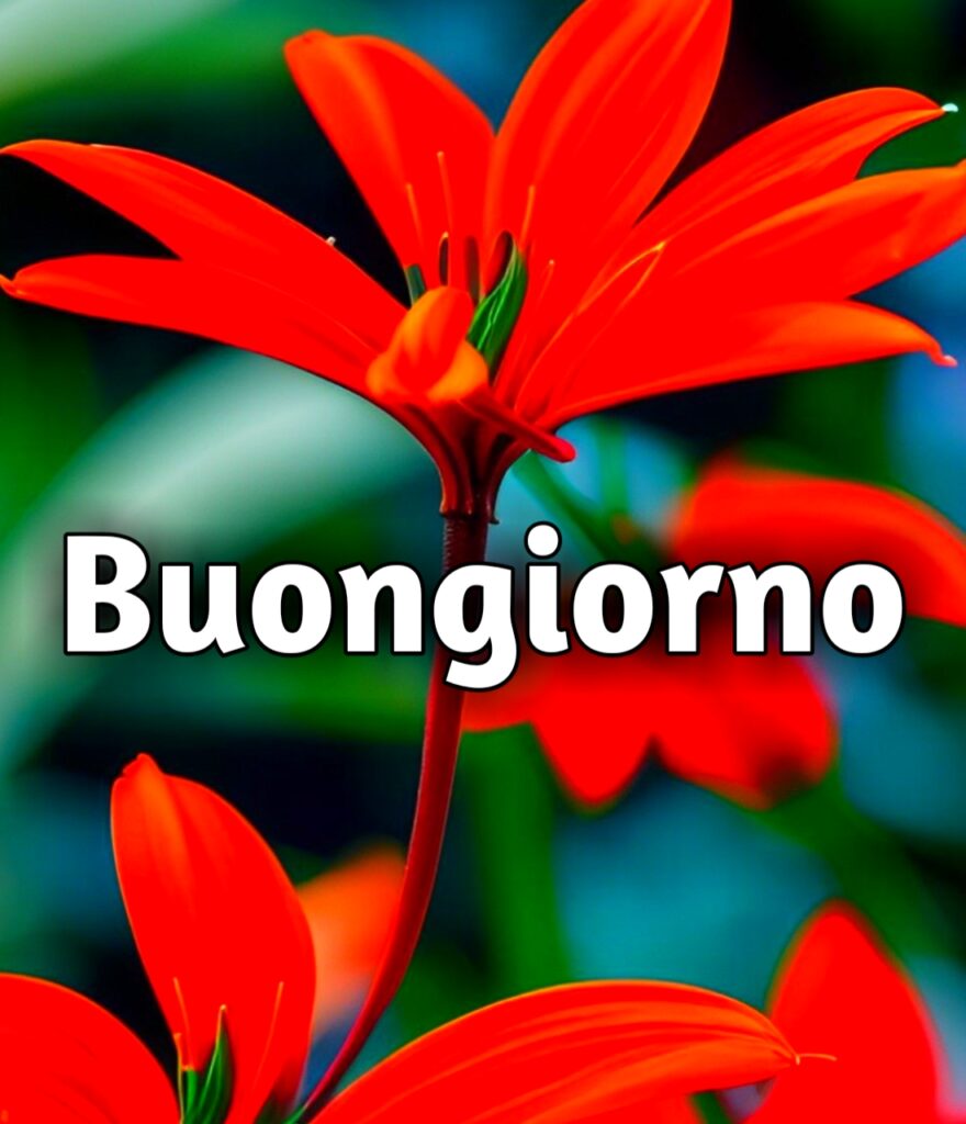 Buongiorno 2024 Immagini Nuove Gratis