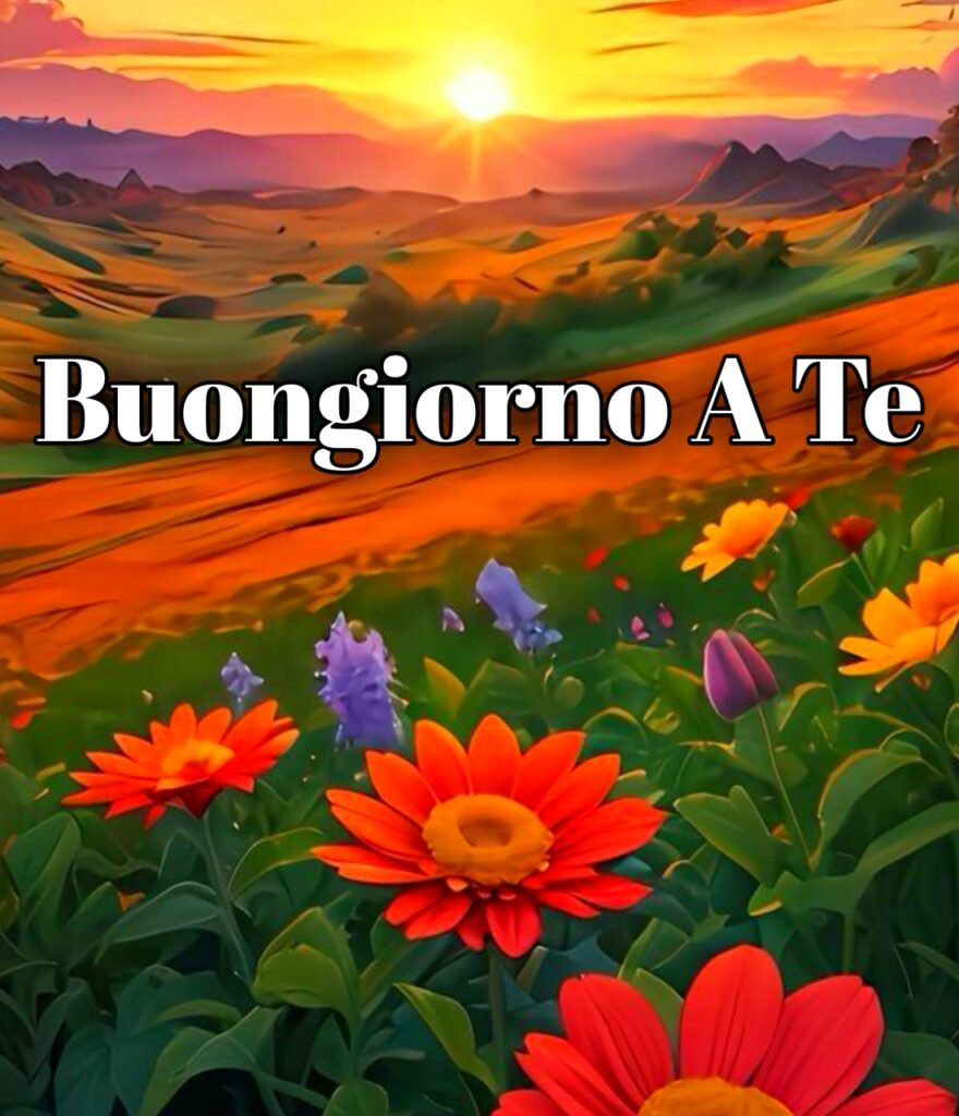 Buongiorno A Te In Francese