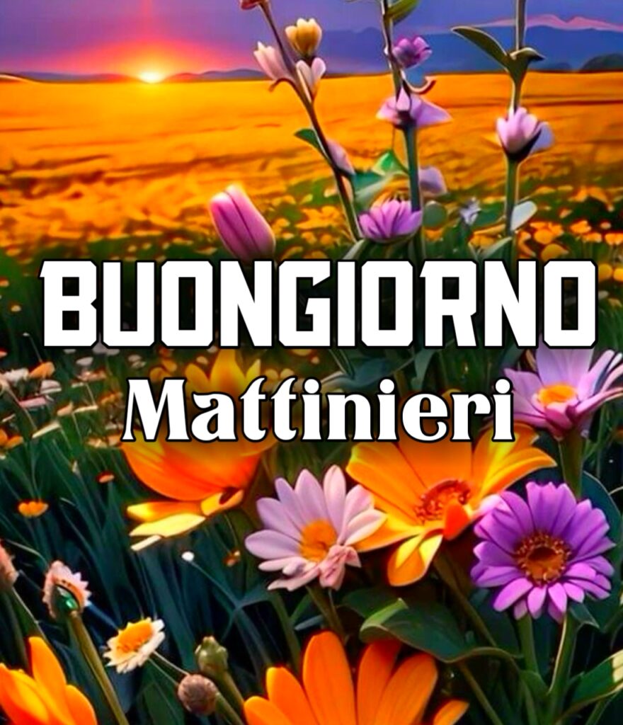 Buongiorno A Te Mattiniero