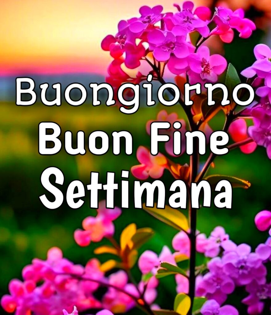 Buongiorno Buon Fine Settimana Buon Venerdì