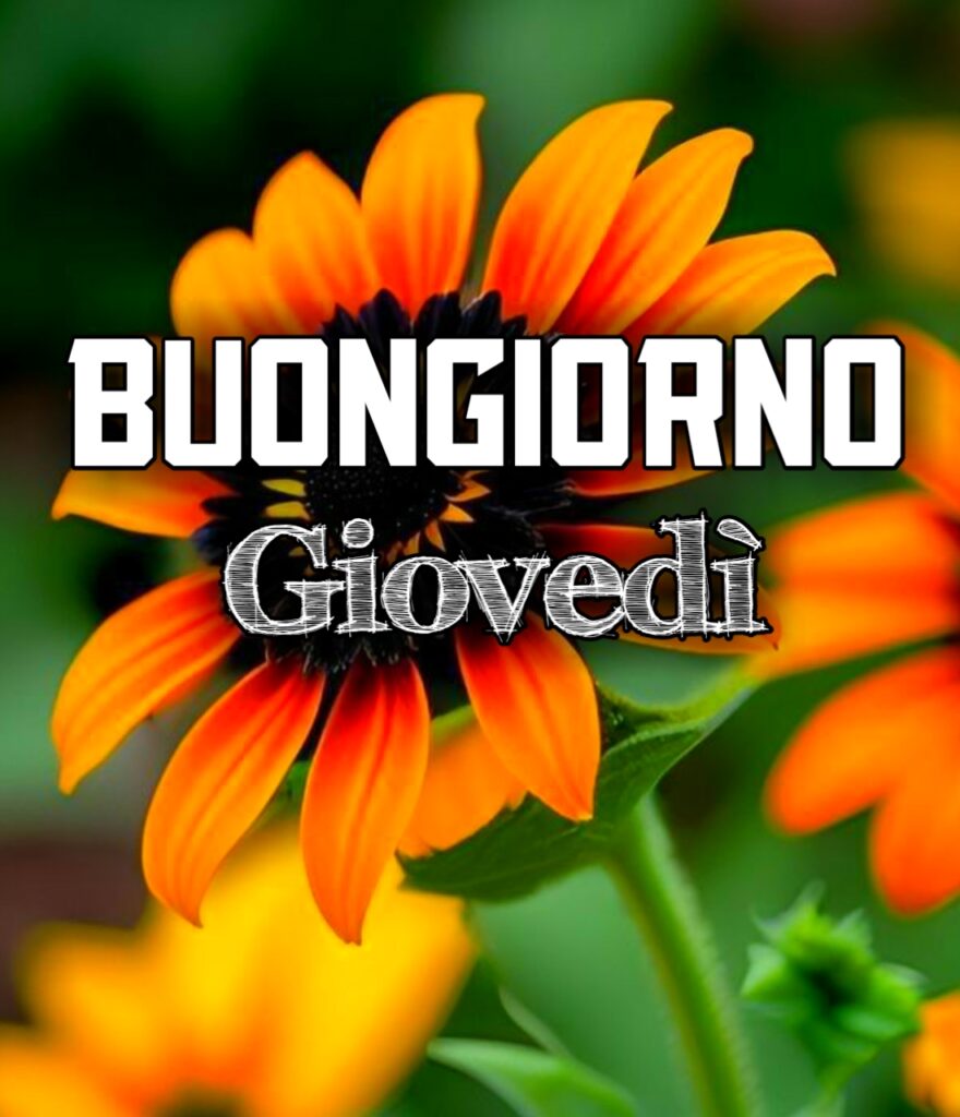 Buongiorno Buon Giovedì Gif