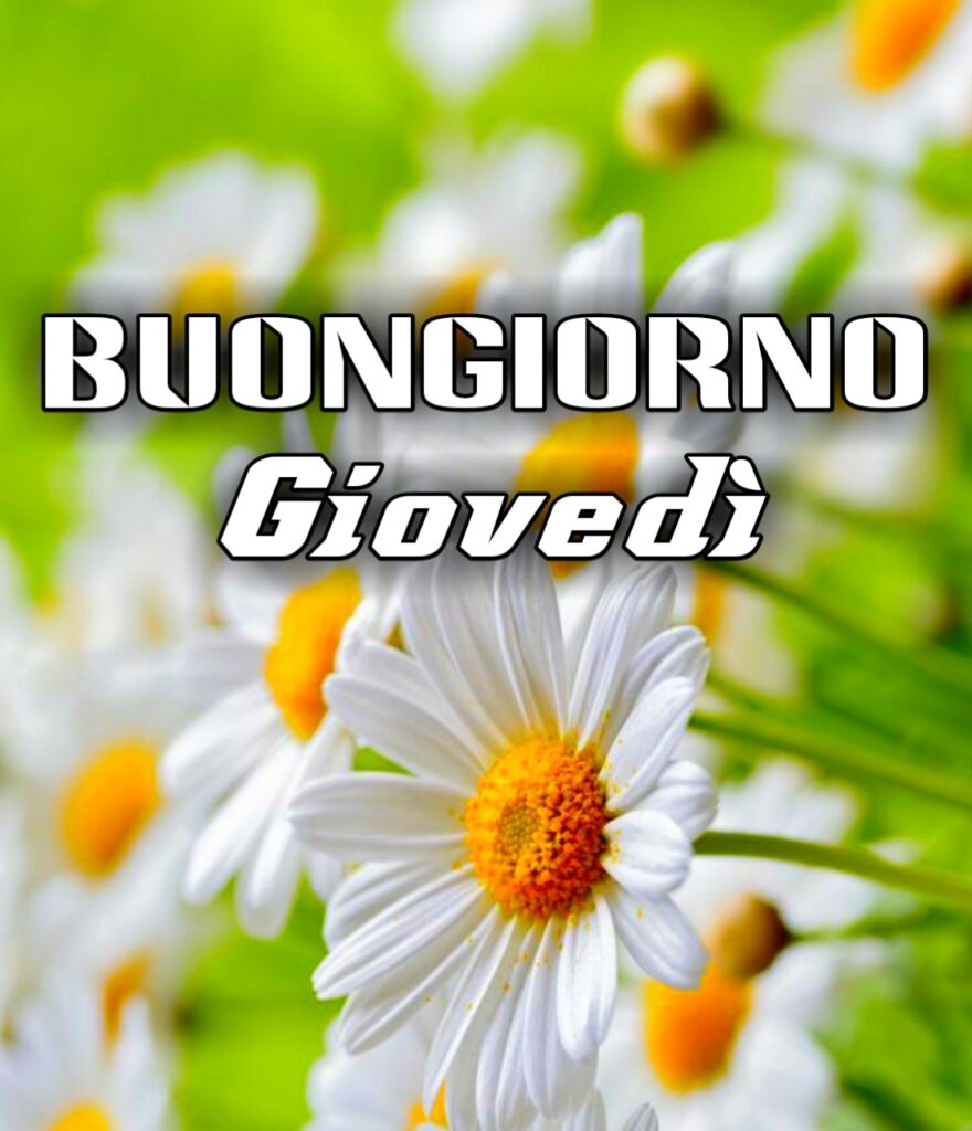 Buongiorno Buon Giovedi Gif