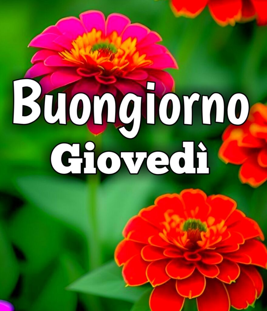 Buongiorno Buon Giovedì Immagini