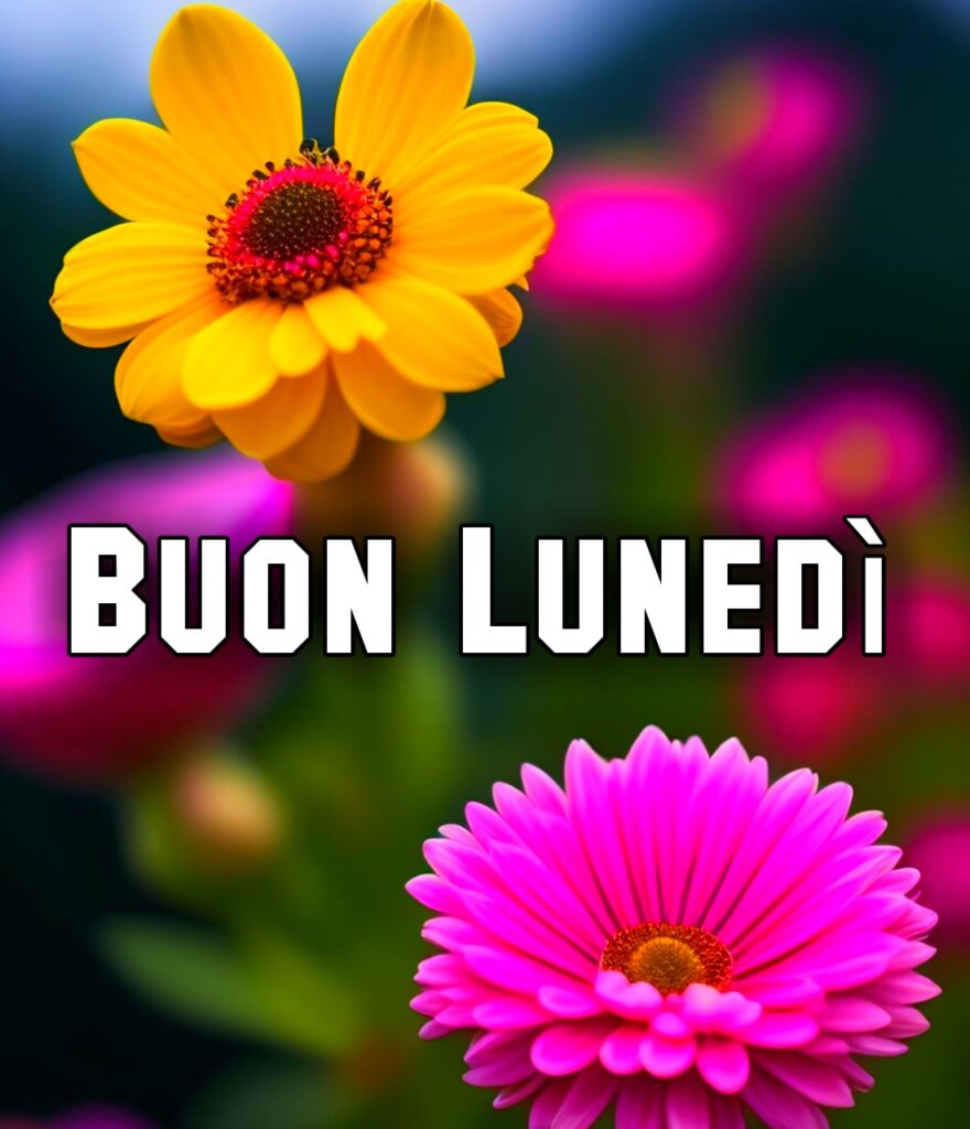 Buongiorno Buon Inizio Settimana Buon Lunedì