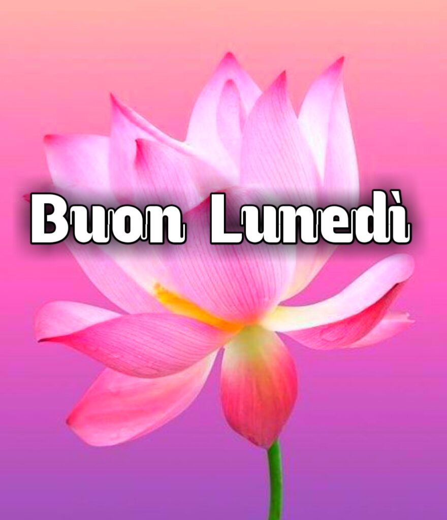 Buongiorno Buon Lunedi Buon Inizio Settimana