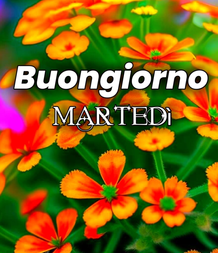 Buongiorno Buon Martedi Immagini