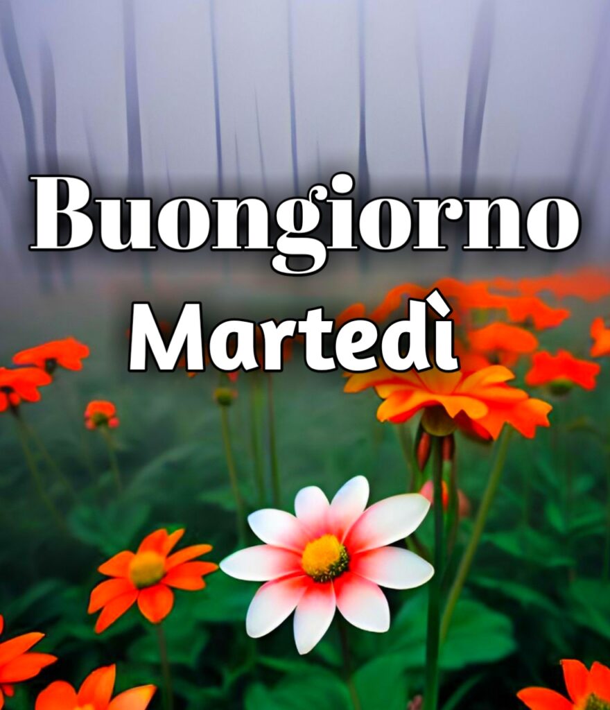 Buongiorno Buon Martedi Immagini Nuove