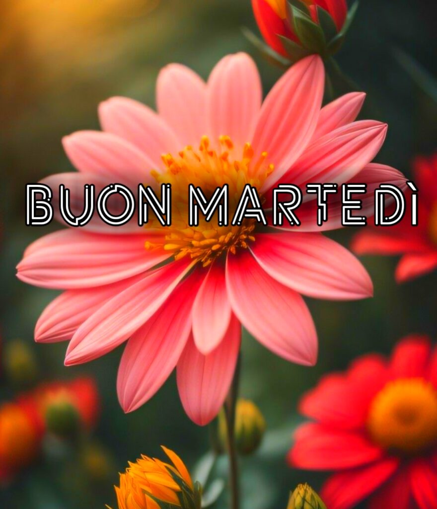 Buongiorno Buon Martedì Nuovi