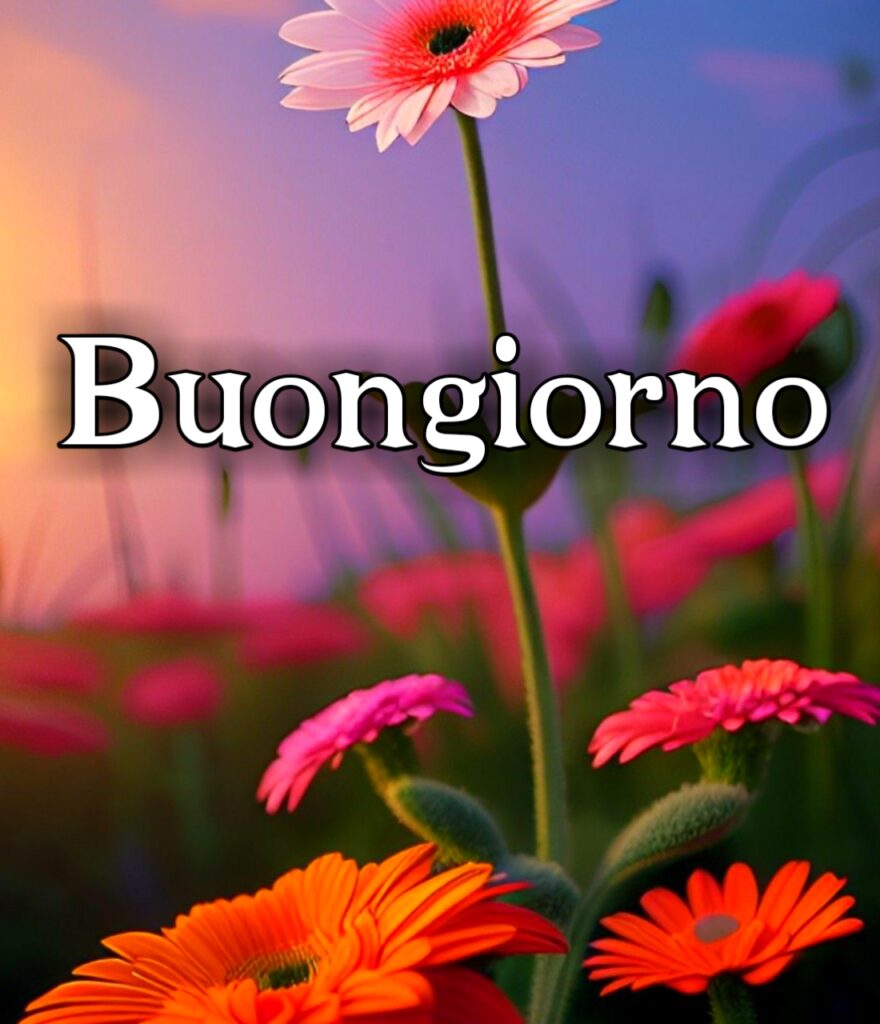 Buongiorno Buon Mercoledì Augurando.it